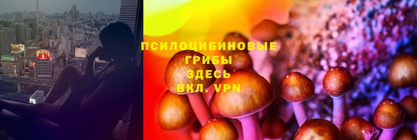 хмурый Киренск