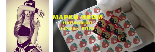 гашик Кинешма