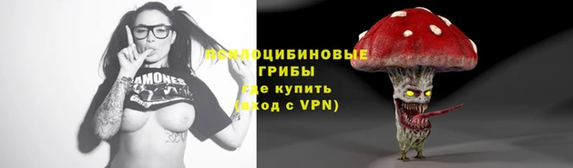 гашик Кинешма