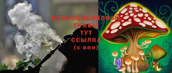 хмурый Киренск